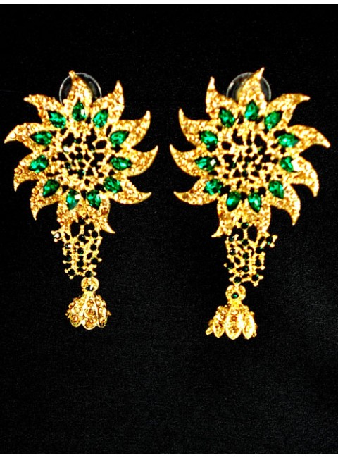 Fashion Earrings